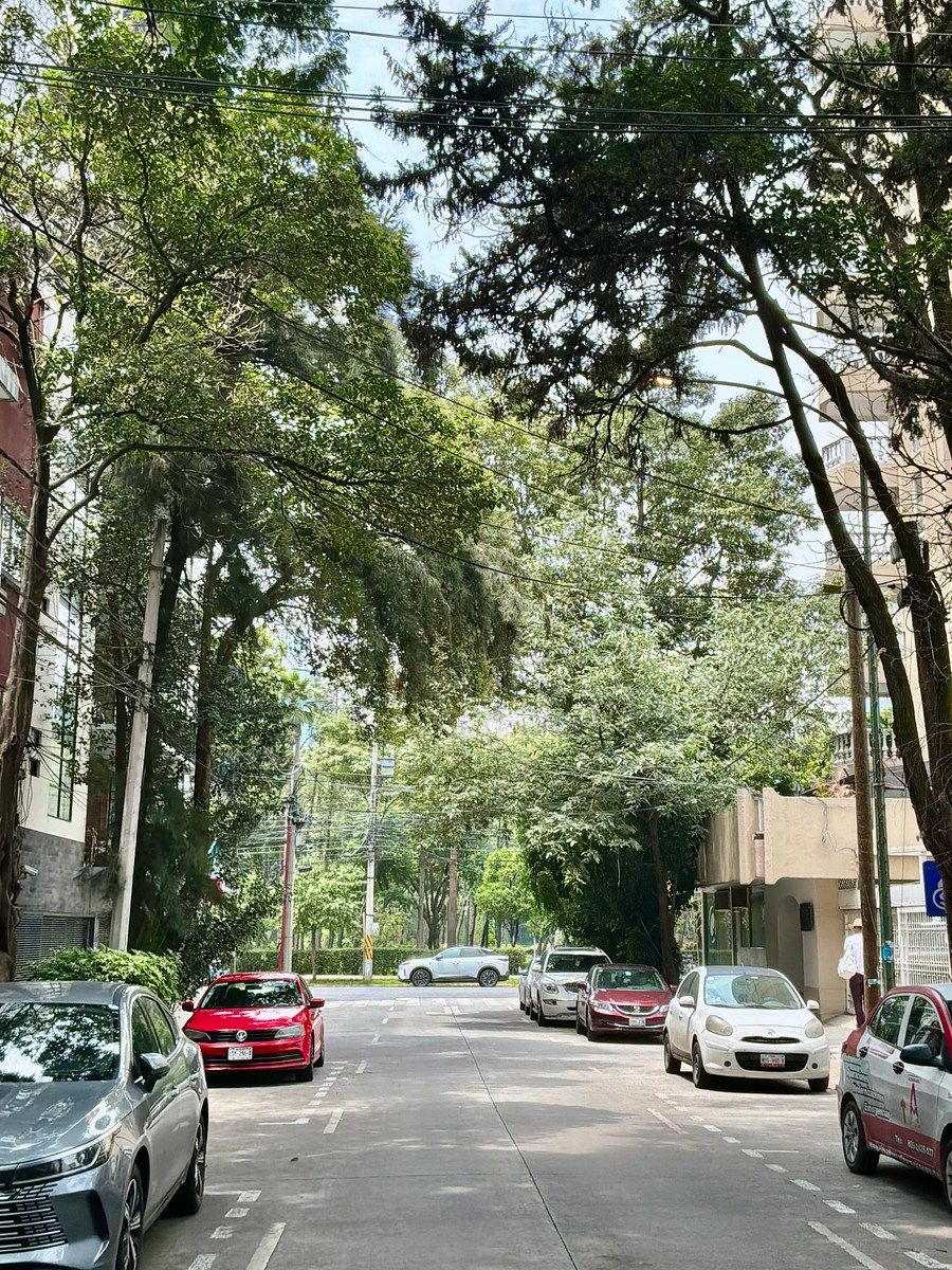 Apartamento em Nochebuena, Benito Juárez, foto 24 de 26