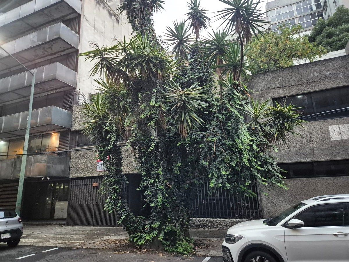 Land for Sale in POLANCO, PLATÓN, MIGUEL HIDALGO, photo 1 of 8