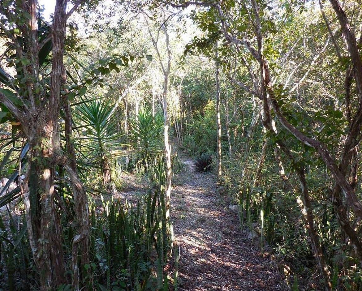 Terreno en Temozon, Temozón, foto 17 de 25