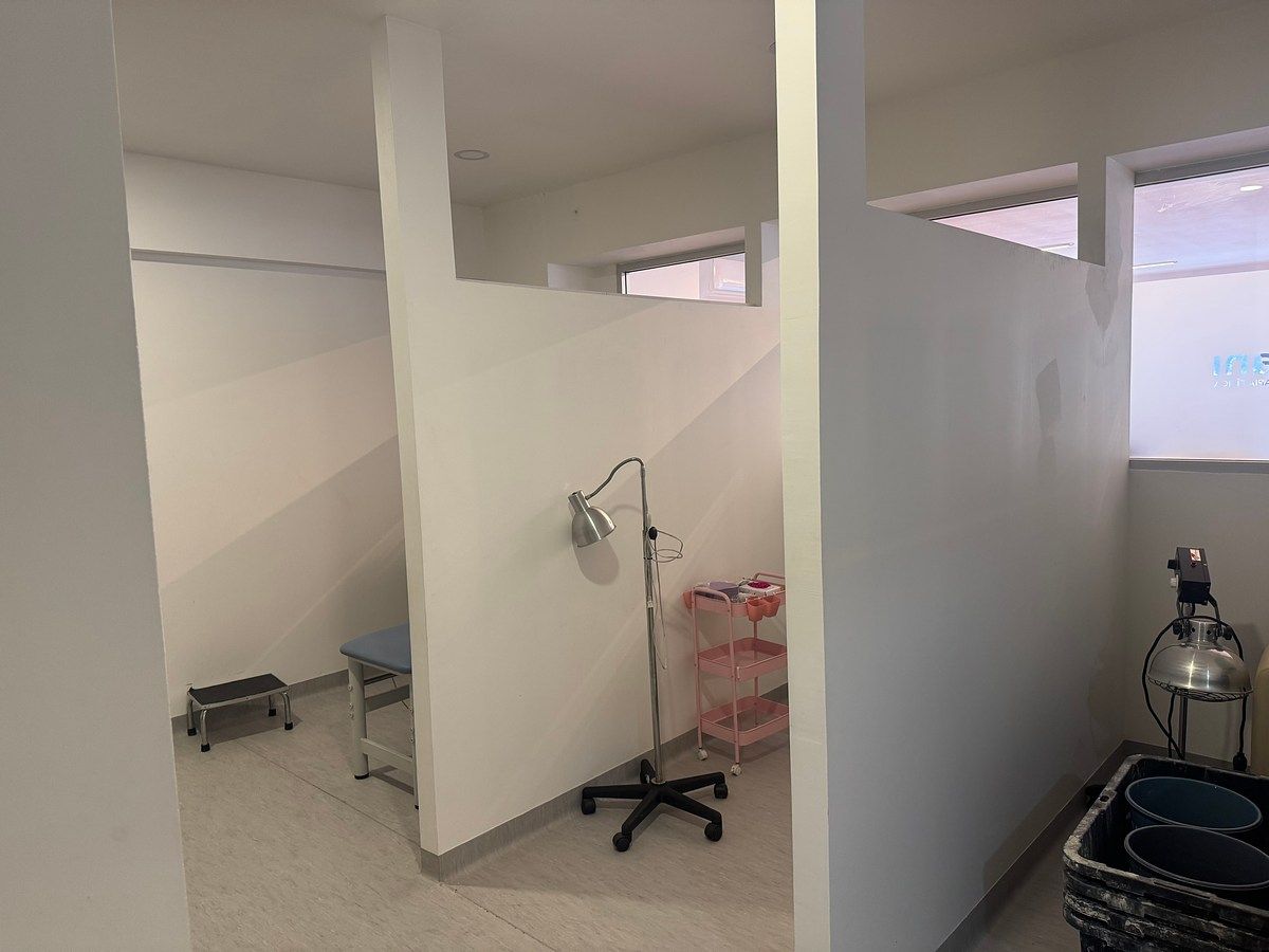 Retail Space in Monraz, Guadalajara, photo 12 of 15