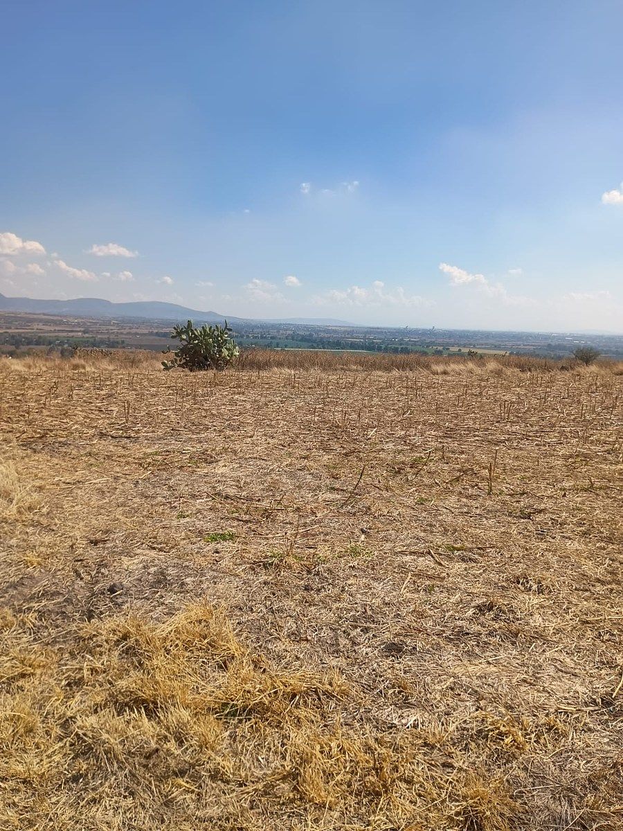 Terreno en Colonia el Copalillo (El Chorizo), Irapuato, foto 2 de 6