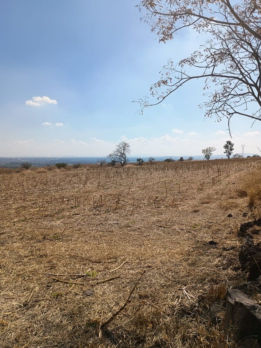 Terreno en Colonia el Copalillo (El Chorizo), Irapuato, foto 3 de 6