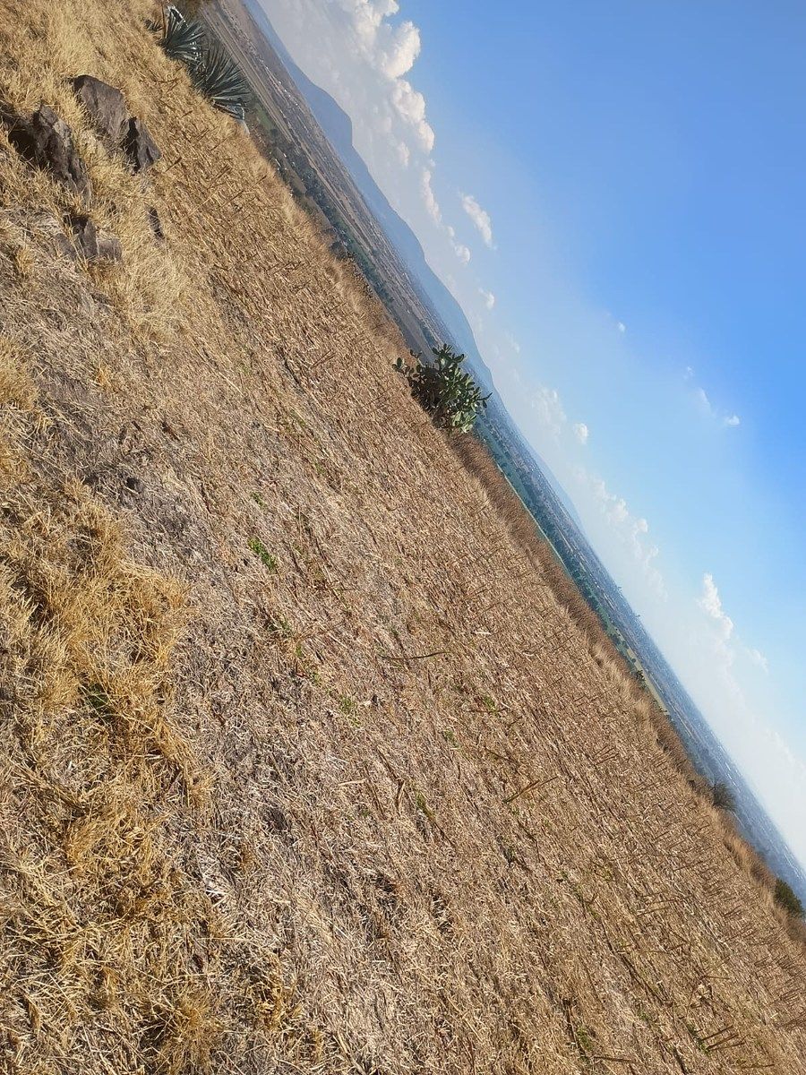 Terreno en Colonia el Copalillo (El Chorizo), Irapuato, foto 4 de 6