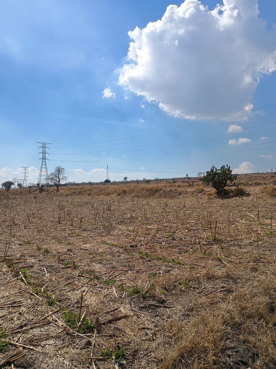 Terreno en Colonia el Copalillo (El Chorizo), Irapuato, foto 5 de 6