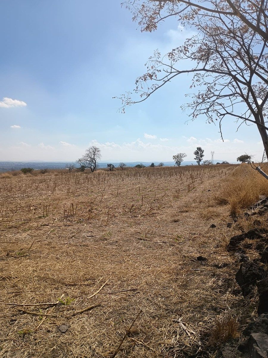 Terreno en Colonia el Copalillo (El Chorizo), Irapuato, foto 6 de 6