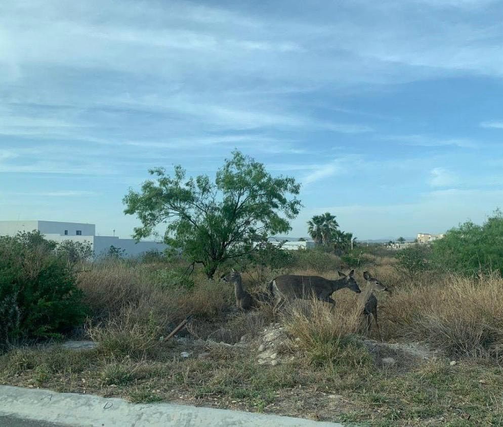 Terreno em Residencial Hacienda San Pedro, foto 1 de 5
