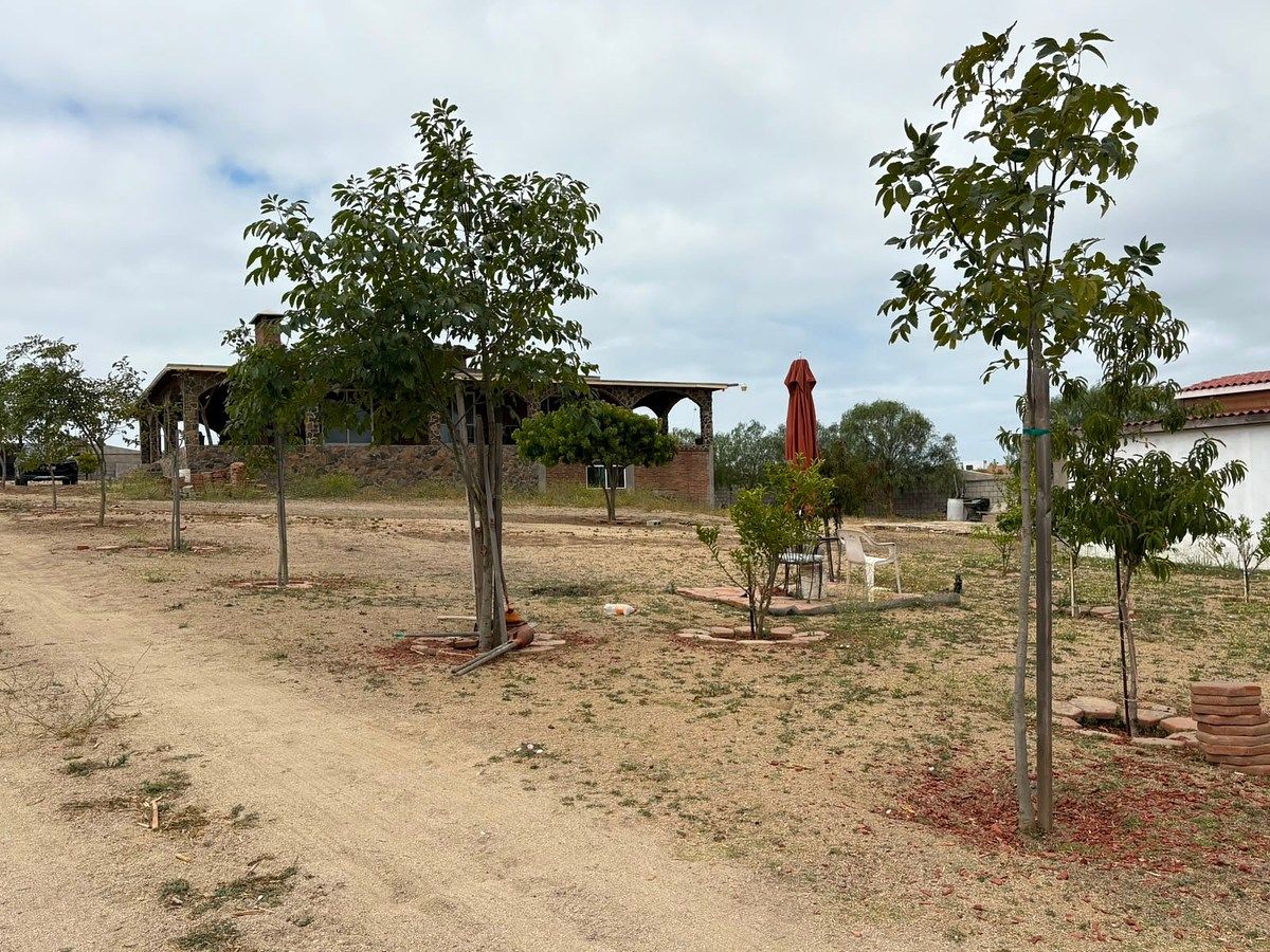 Chácara em El Sauzal, Ensenada, foto 3 de 14