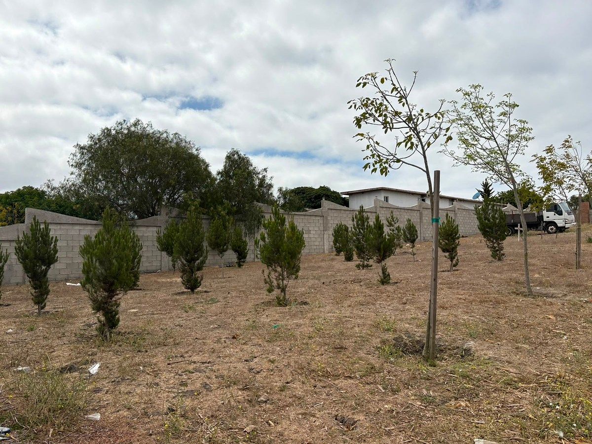 Chácara em El Sauzal, Ensenada, foto 5 de 14