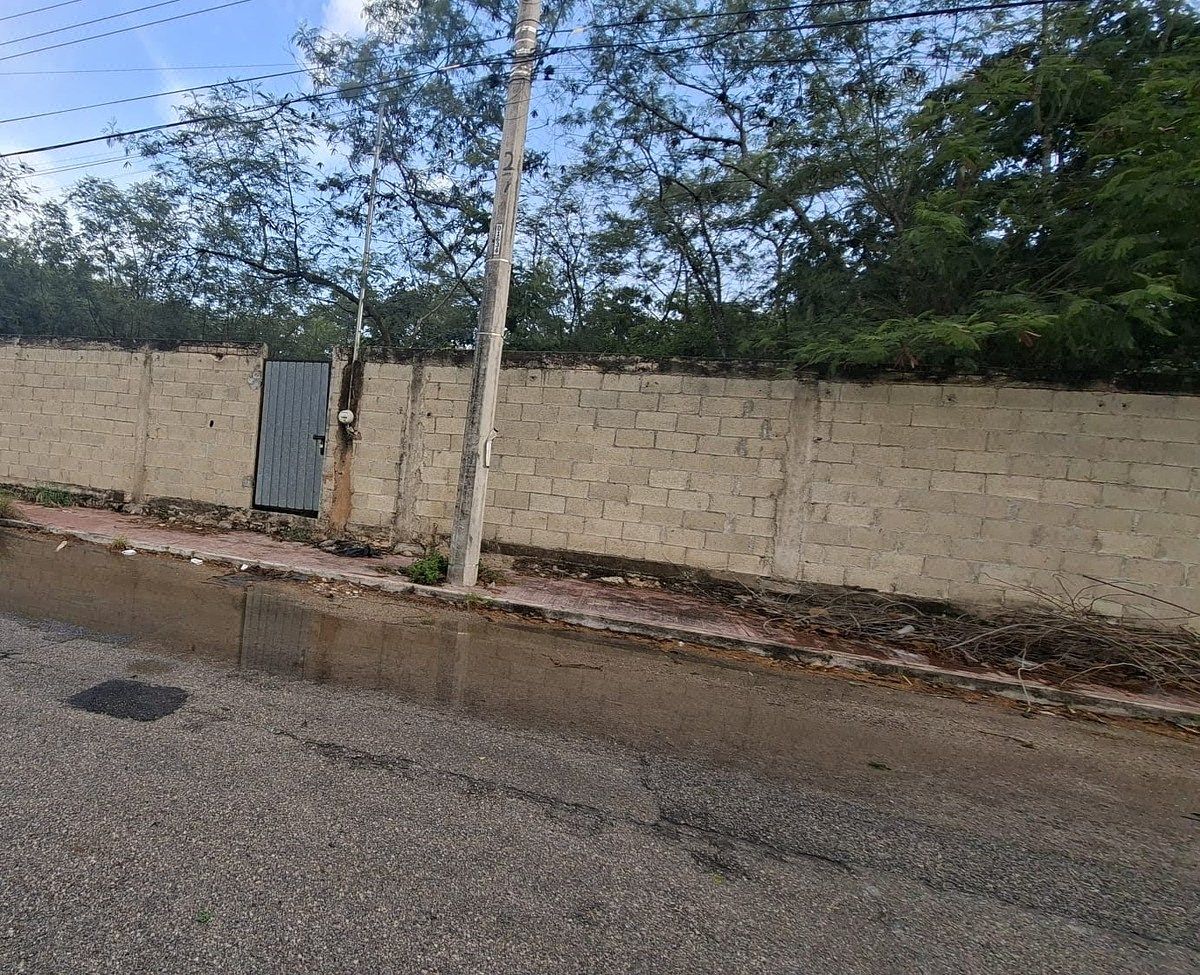 Lote em Montes de Ame, Mérida, foto 3 de 6