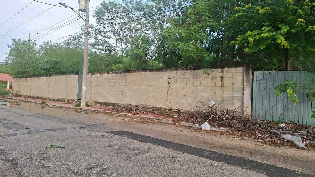 Lote em Montes de Ame, Mérida, foto 4 de 6
