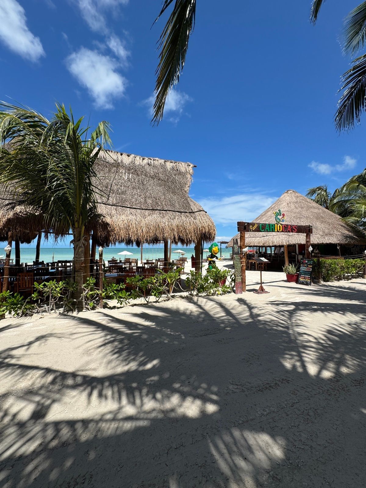 Edifício em Isla de Holbox, Lázaro Cárdenas, foto 34 de 38