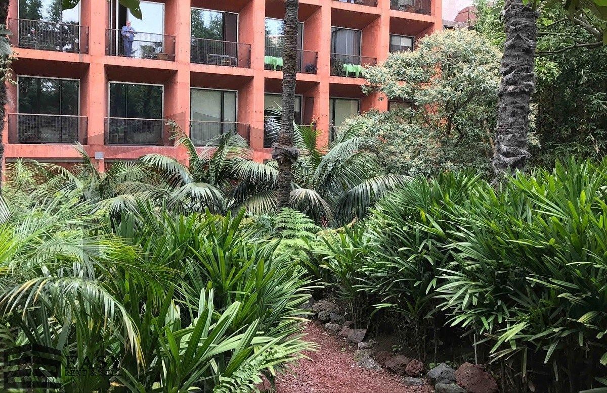 Departamento en Tabacalera, Cuauhtémoc, foto 6 de 7