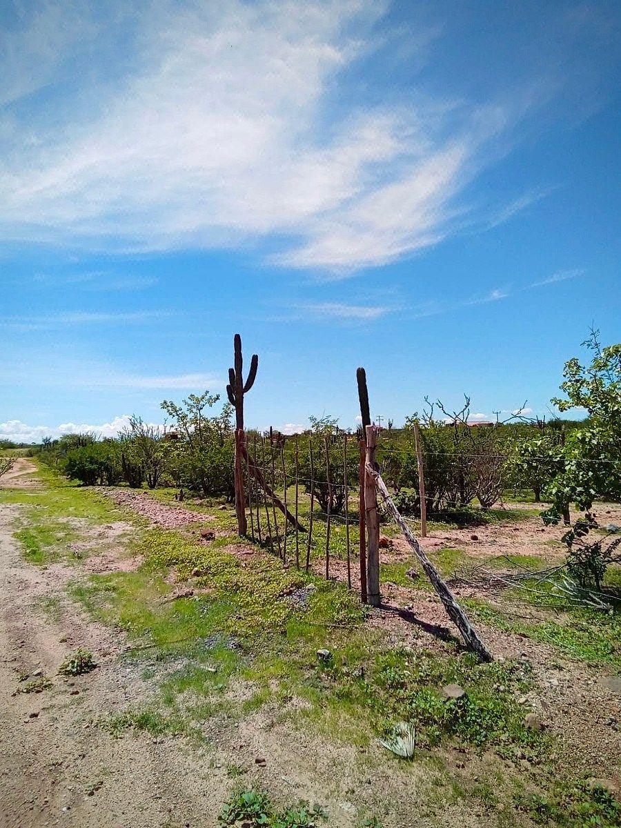 Lot in San Pedro, La Paz, photo 23 of 27