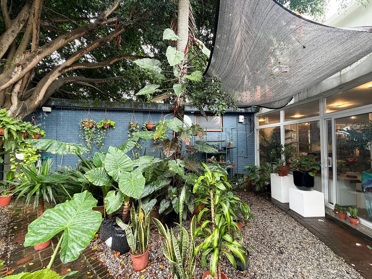 Casa en Zona 14, Guatemala, foto 8 de 10