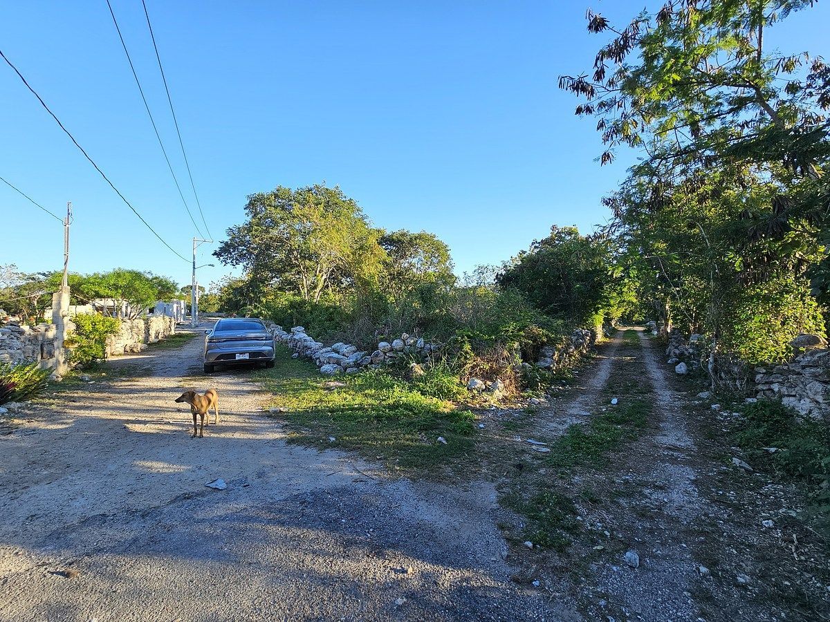 Terreno en Cosgaya, Mérida, foto 4 de 15