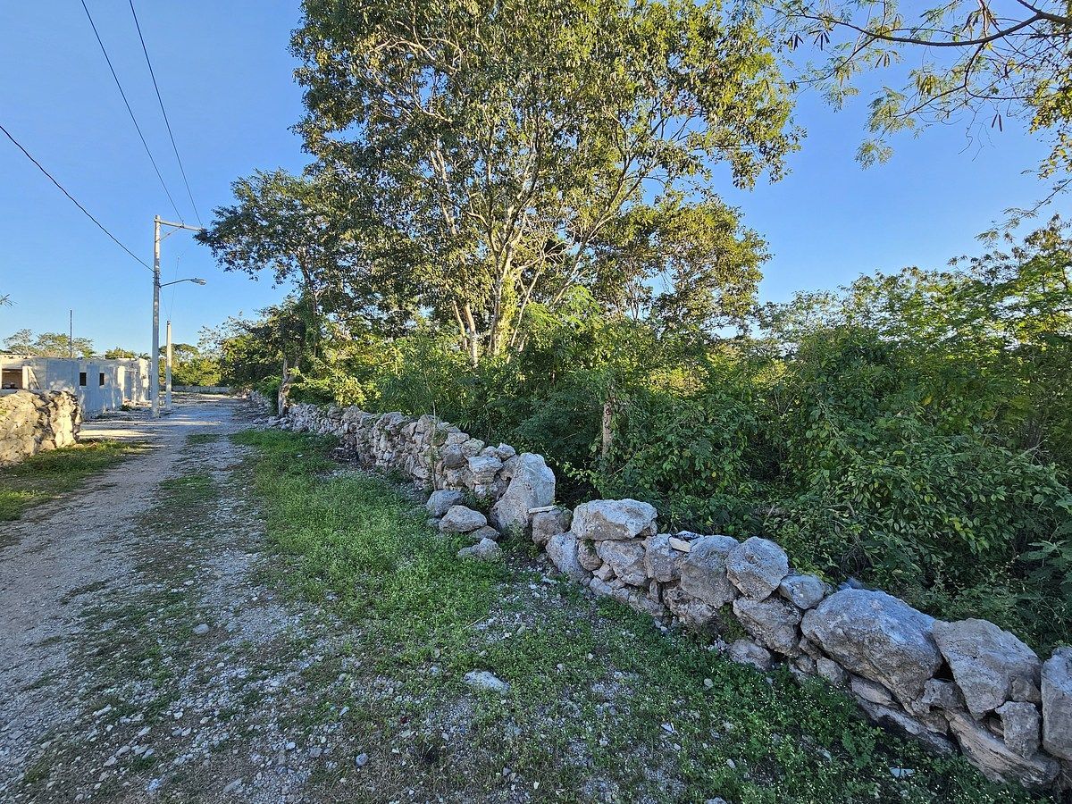 Terreno en Cosgaya, Mérida, foto 5 de 15