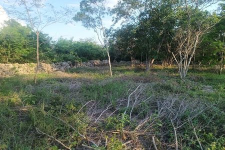 Land for Sale - Cosgaya, Mérida