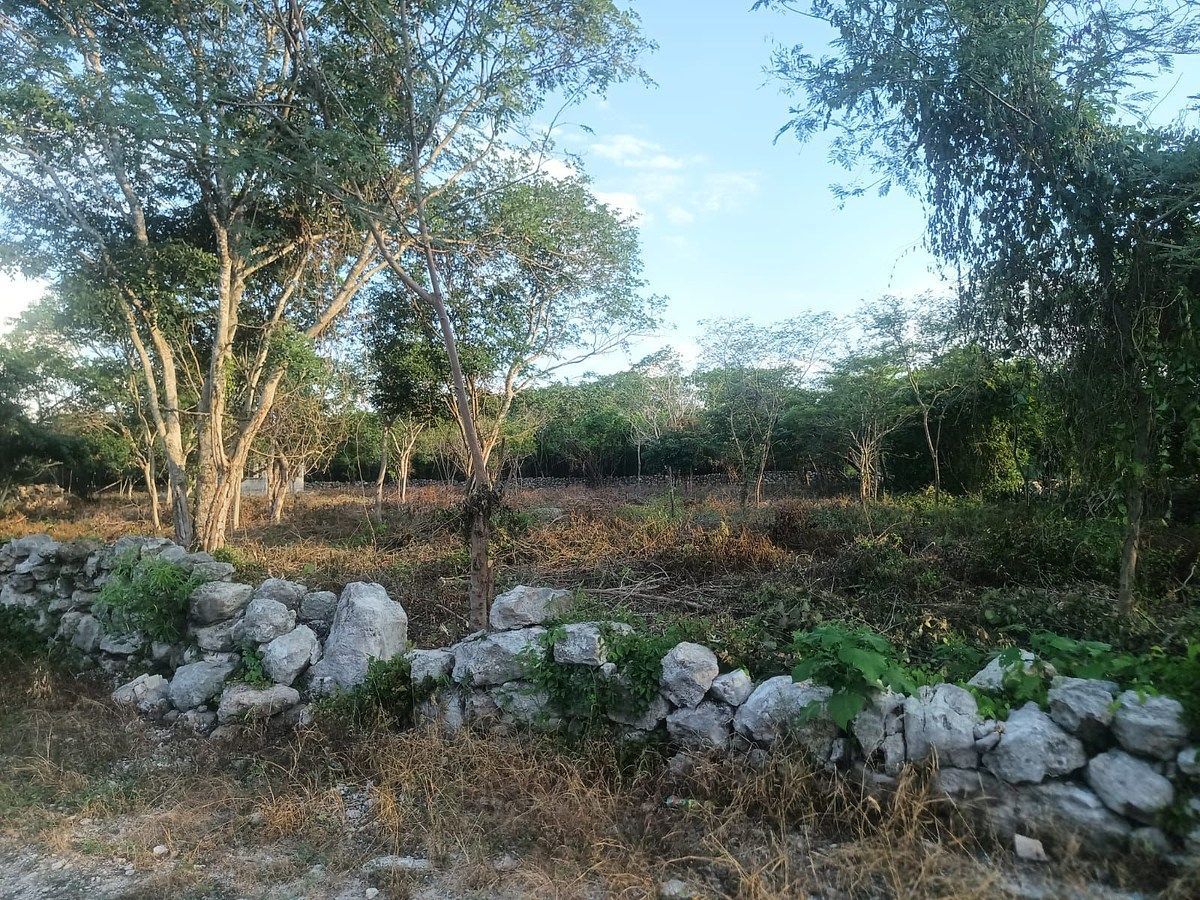 Terreno en Cosgaya, Mérida, foto 12 de 15