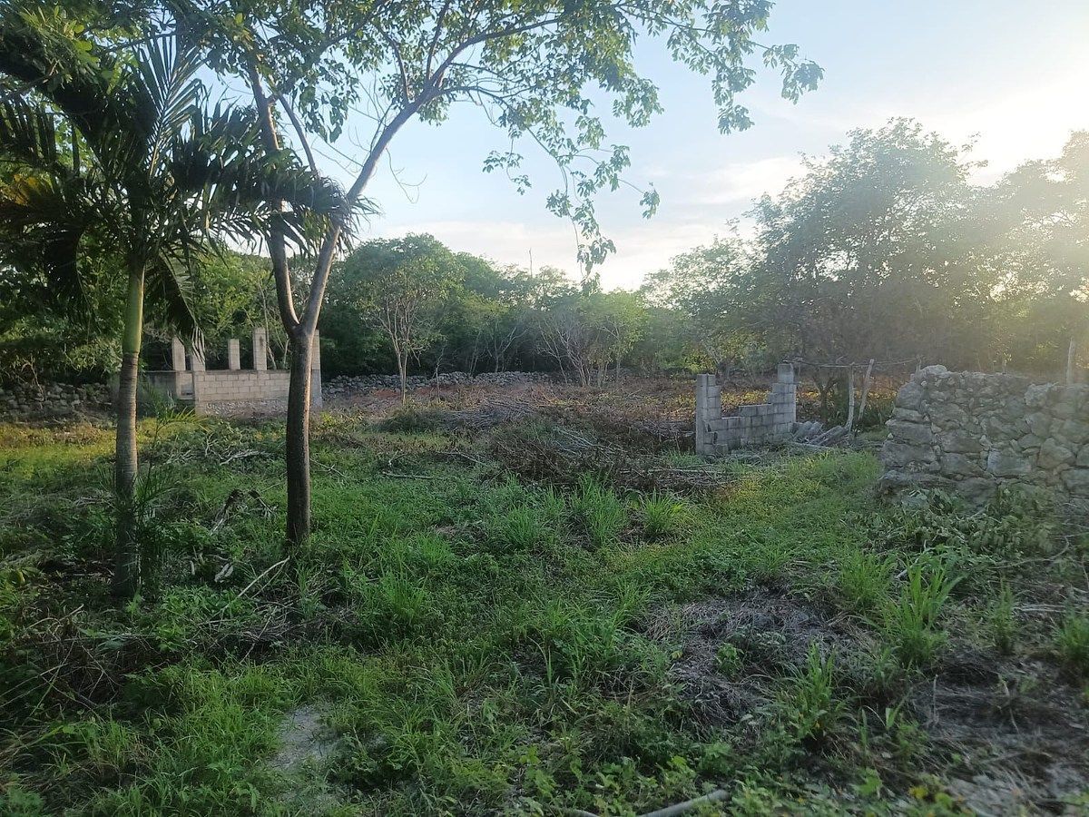 Terreno en Cosgaya, Mérida, foto 13 de 15