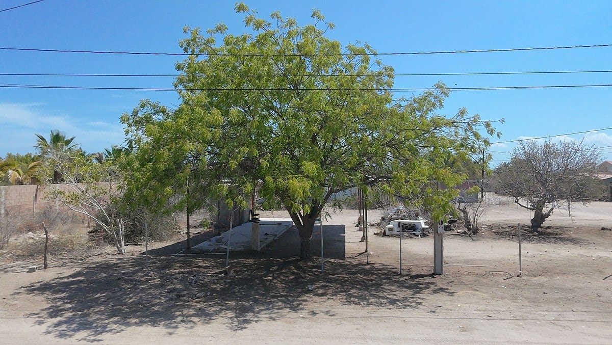 Terreno en centenario, foto 1 de 2