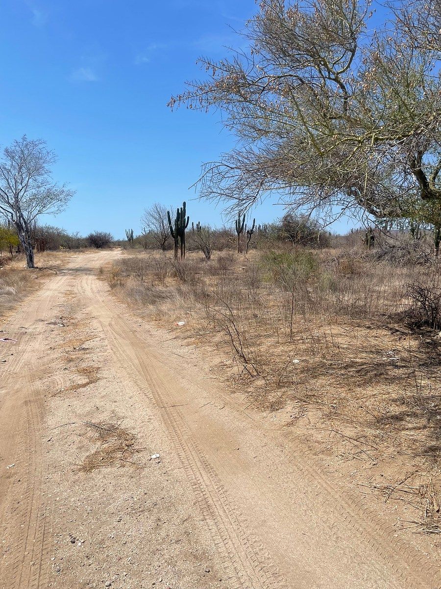 LAND FOR SALE AT THE ENTRANCE OF SAN PEDRO, photo 1 of 12