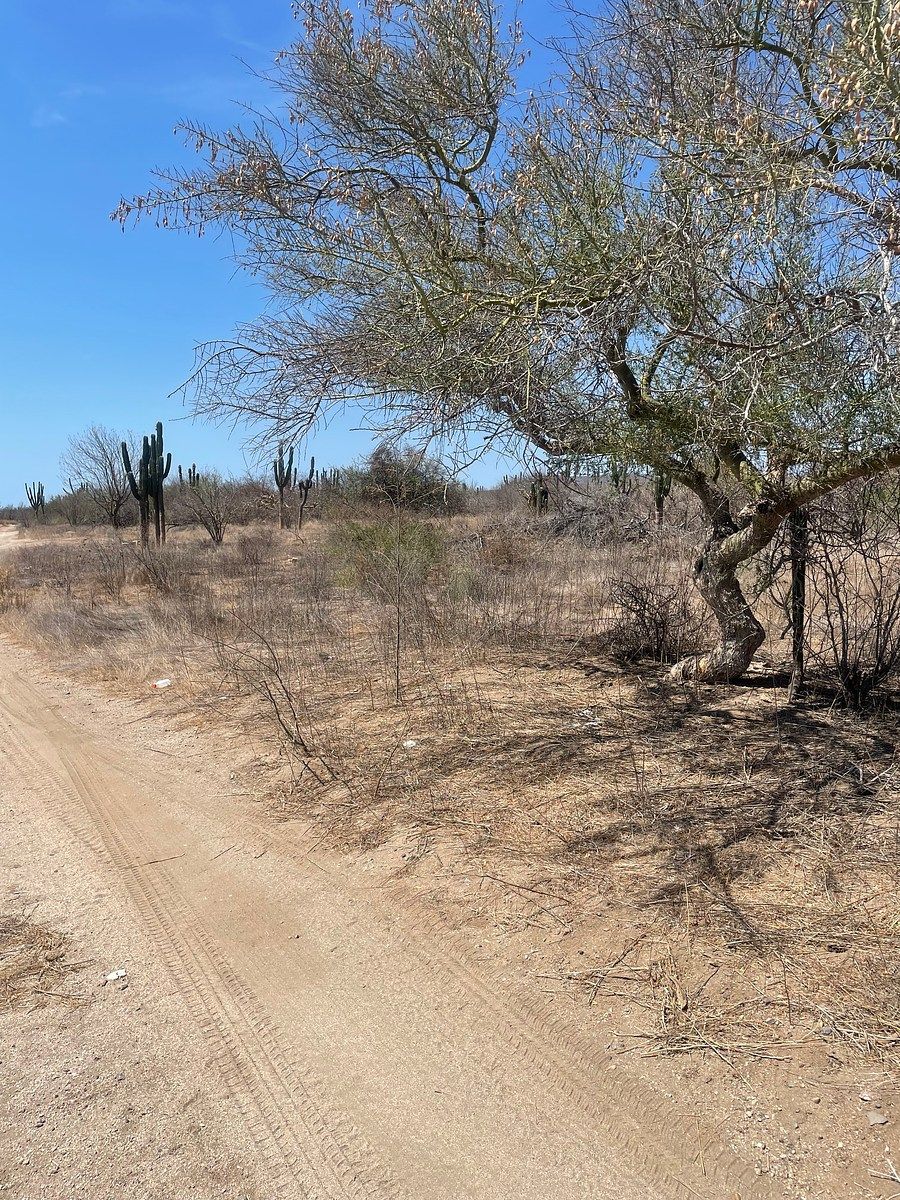 Lot in San Pedro, La Paz, photo 3 of 12