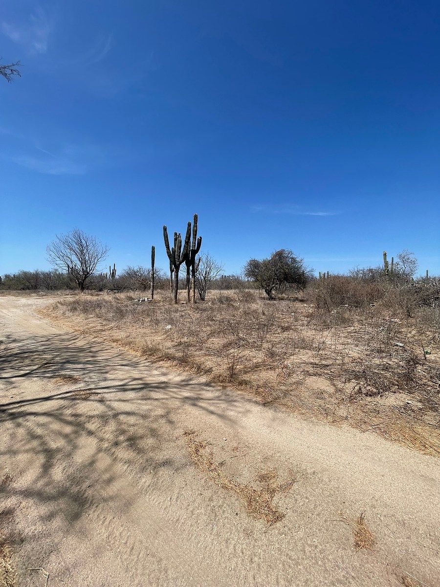 Lot in San Pedro, La Paz, photo 4 of 12