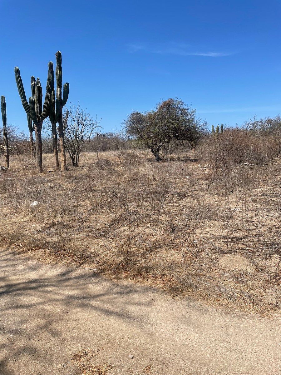 Lot in San Pedro, La Paz, photo 5 of 12