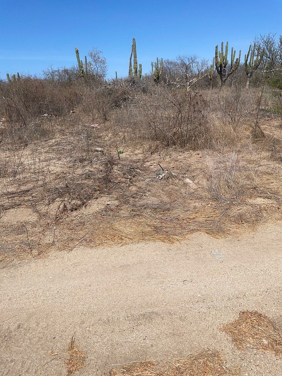 Lot in San Pedro, La Paz, photo 6 of 12