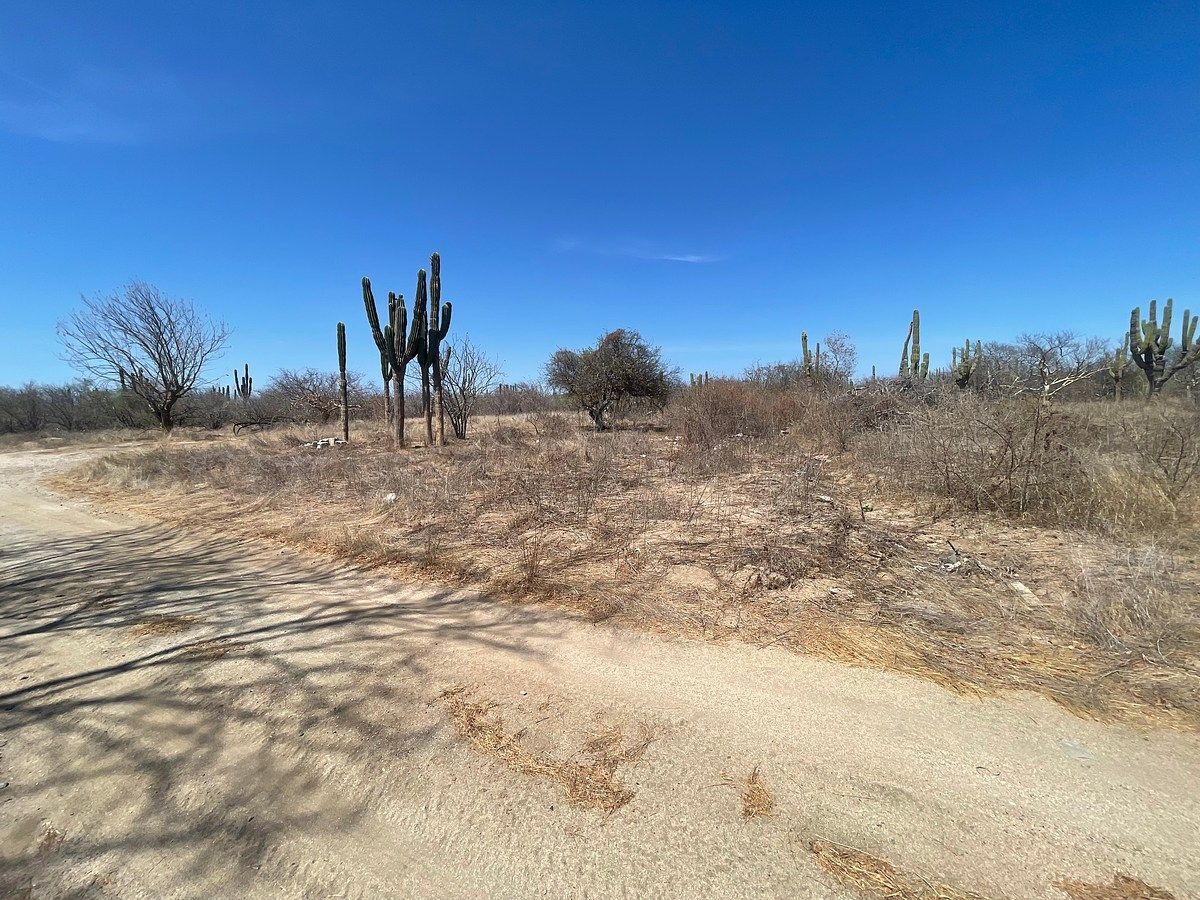 Lot in San Pedro, La Paz, photo 7 of 12