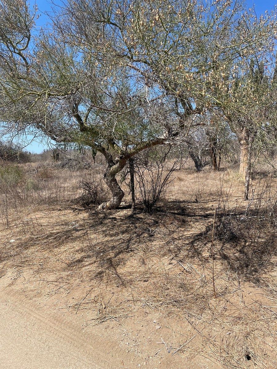 Lot in San Pedro, La Paz, photo 12 of 12