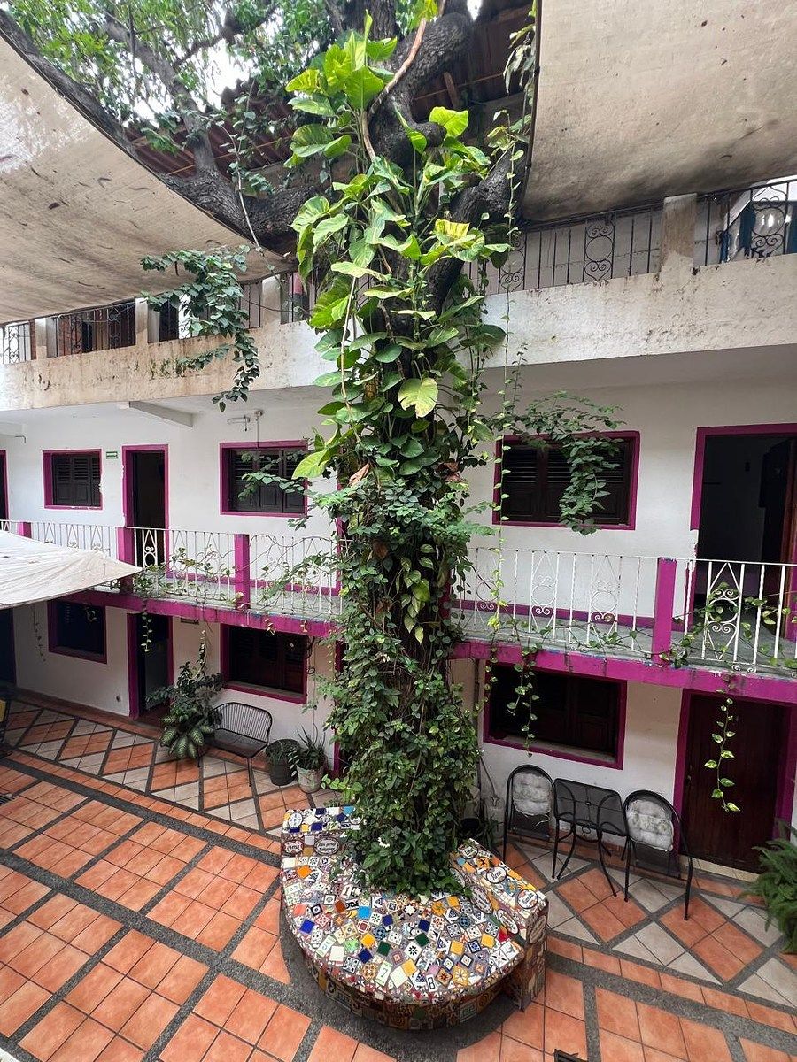 Quinta en Emiliano Zapata, Puerto Vallarta, foto 7 de 16