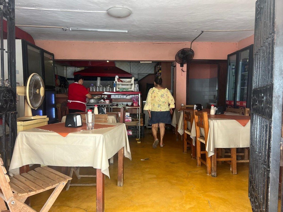 Quinta en Emiliano Zapata, Puerto Vallarta, foto 15 de 16