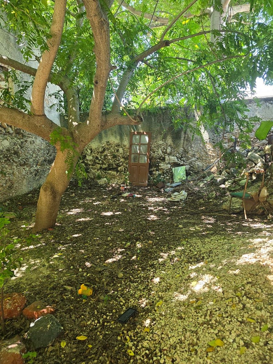 House in Mérida Centro, Mérida, photo 12 of 12