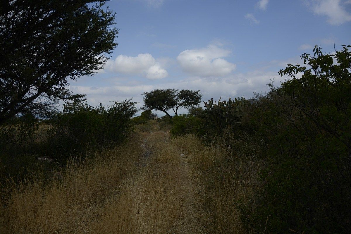 Lot in Palmillas, San Juan del Río, photo 2 of 8
