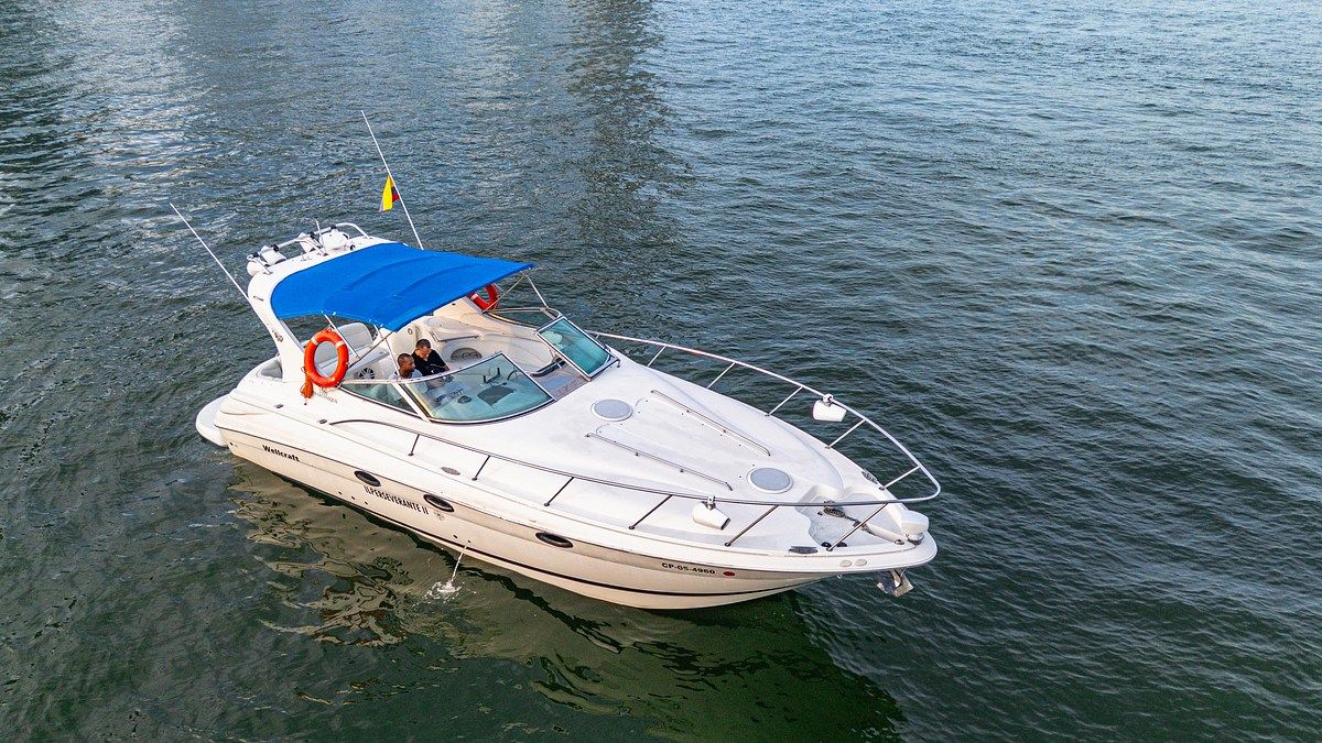 YATE 33 Ft para 12 pax ILPER WELLCRAFT, foto 1 de 20