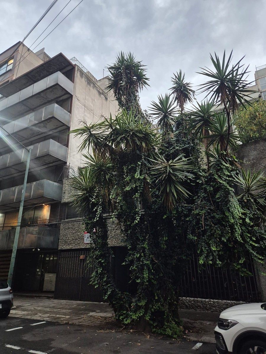 Terreno en Polanco II Sección, Miguel Hidalgo, foto 2 de 8