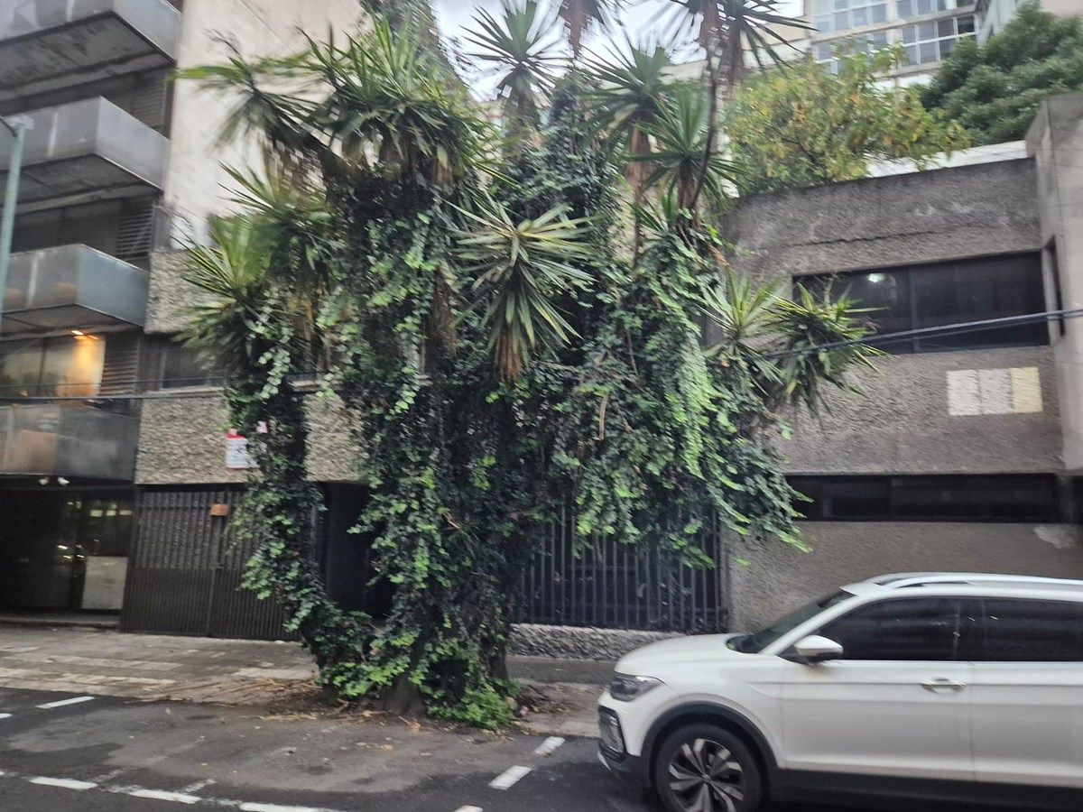 Terreno en Polanco II Sección, Miguel Hidalgo, foto 5 de 8