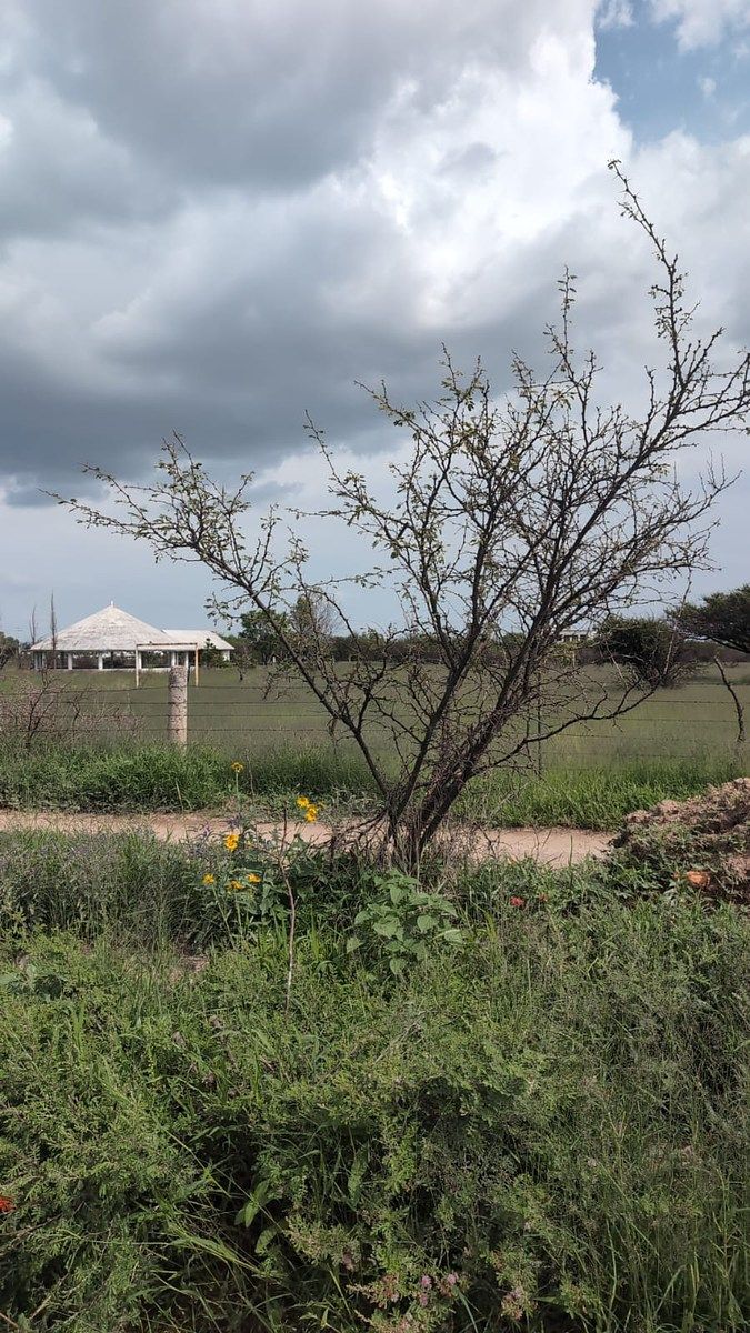 Lot in Los Pocitos, Aguascalientes, photo 2 of 3