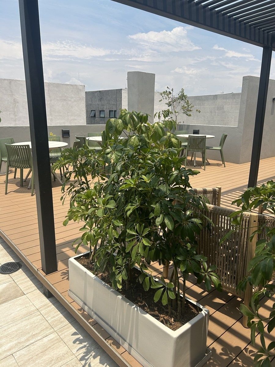Departamento en Roma Sur, Cuauhtémoc, foto 15 de 17