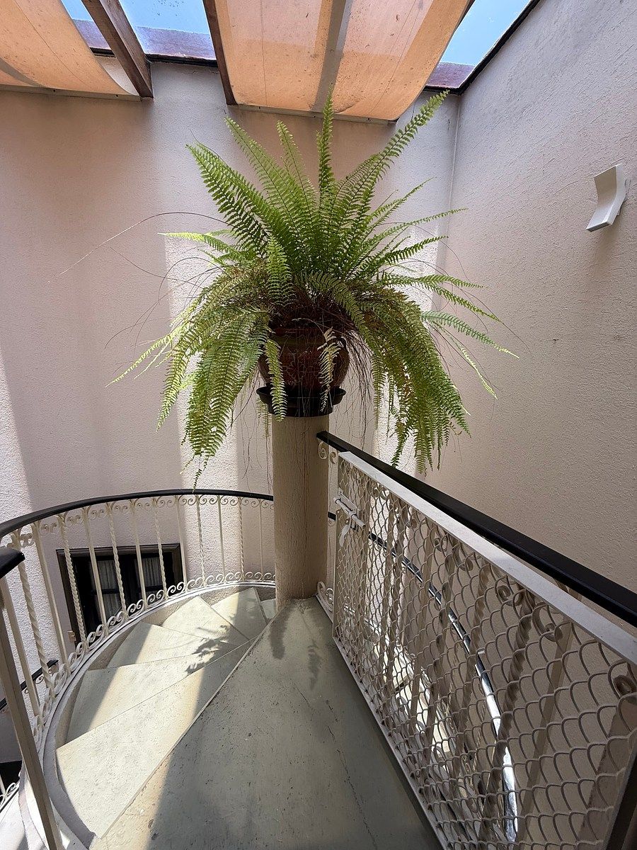 House in Gated Community in Parque San Andrés, Coyoacán, photo 16 of 37
