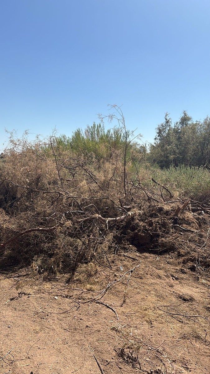 *Oportunidad Única en Mexicali: Terreno en Venta, foto 1 de 4