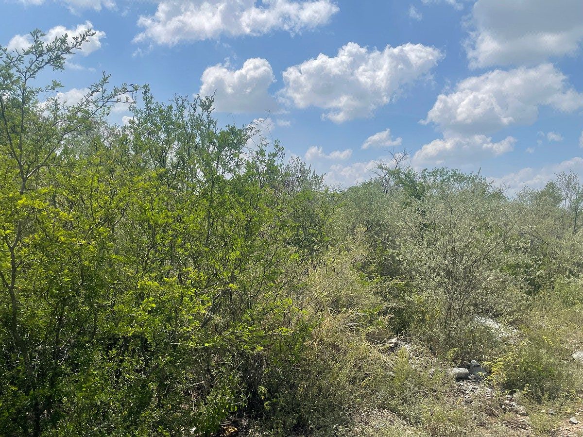 Lote em Benito Juárez, Guadalupe, foto 9 de 11