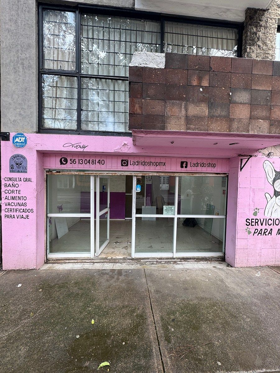 Local comercial en Roma Sur, Cuauhtémoc, foto 3 de 11