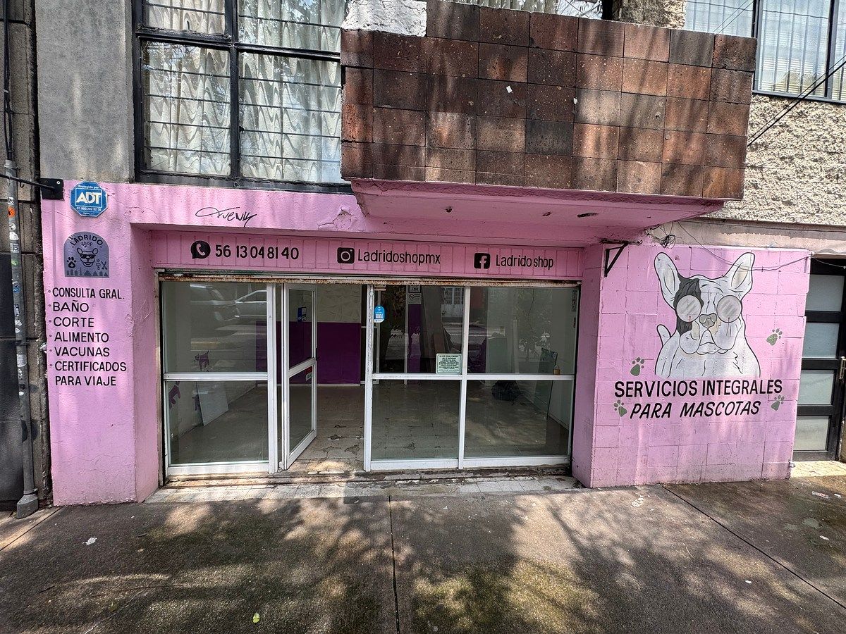 Local comercial en Roma Sur, Cuauhtémoc, foto 5 de 11