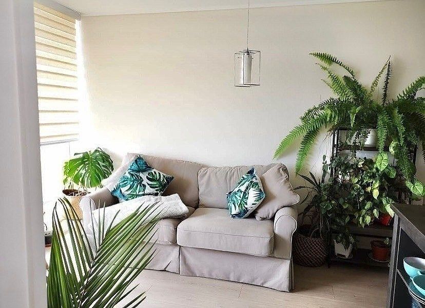 Departamento en Lomas de Montemar, Concón, foto 7 de 13