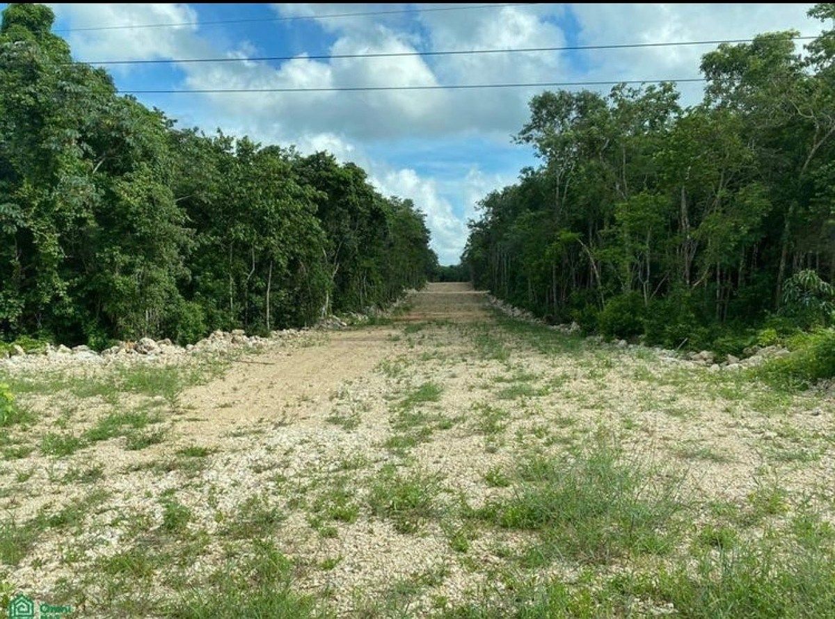 Lot in Leona Vicario, Puerto Morelos, photo 2 of 6