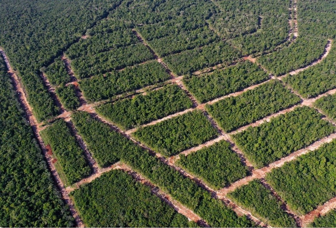 Lot in Leona Vicario, Puerto Morelos, photo 4 of 6