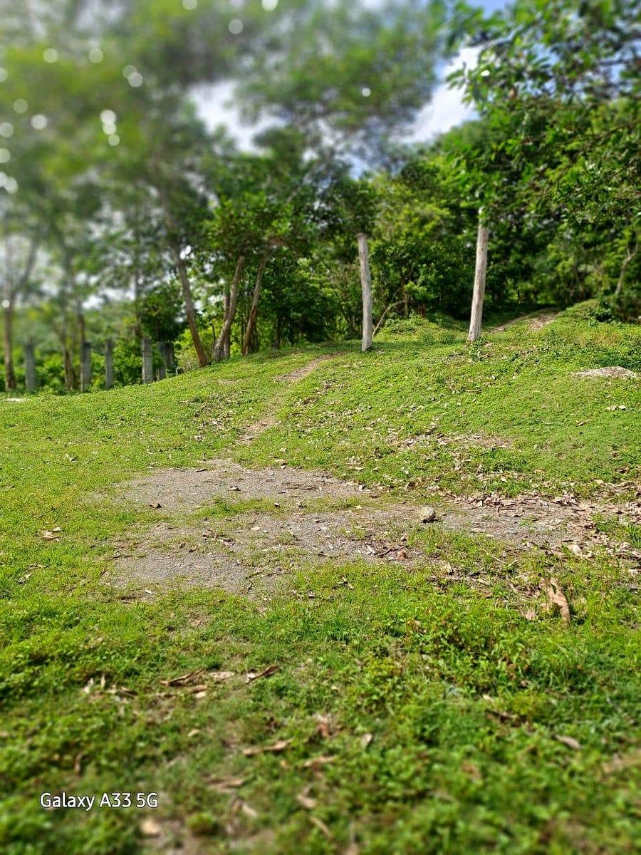 Finca en Yamasá, foto 3 de 9
