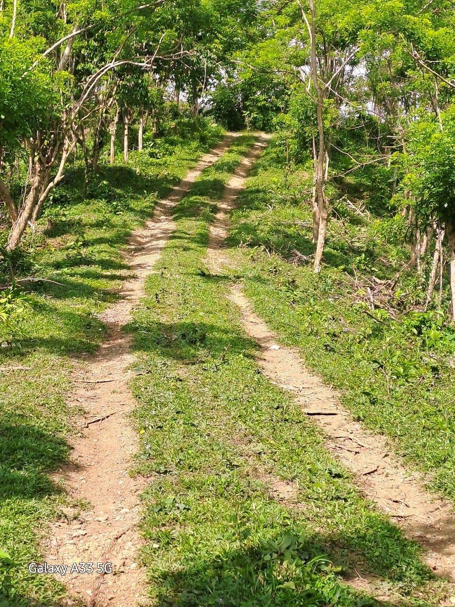 Finca en Yamasá, foto 2 de 9